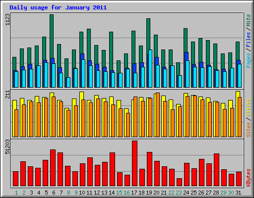 Daily usage for January 2011