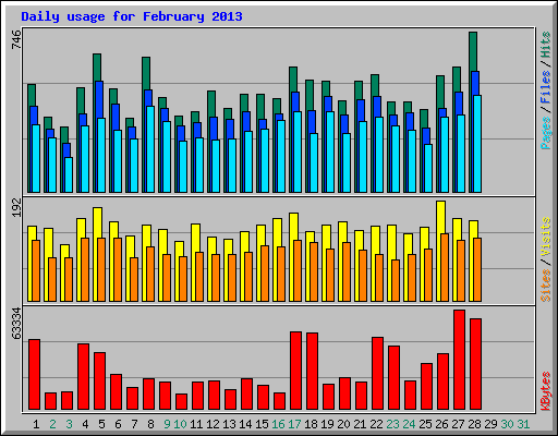 Daily usage for February 2013