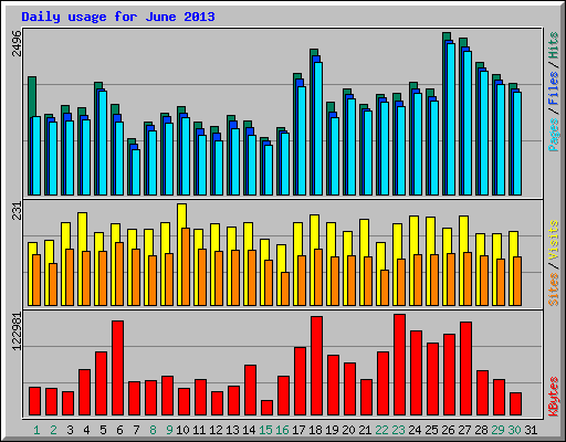 Daily usage for June 2013