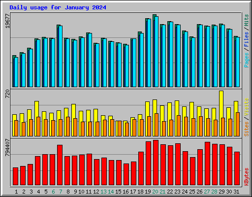 Daily usage for January 2024