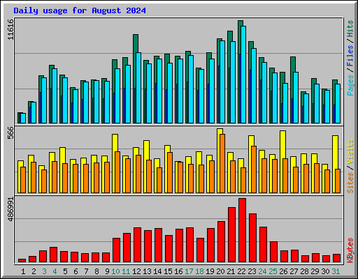 Daily usage for August 2024