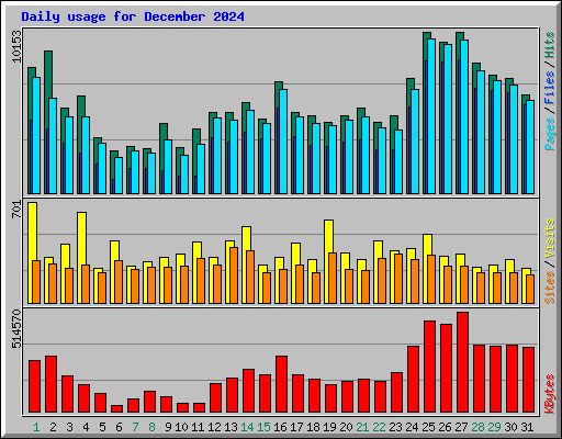 Daily usage for December 2024