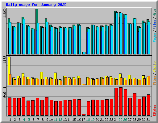 Daily usage for January 2025