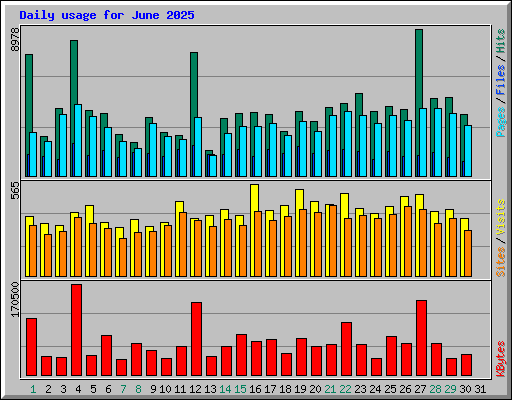 Daily usage for June 2025