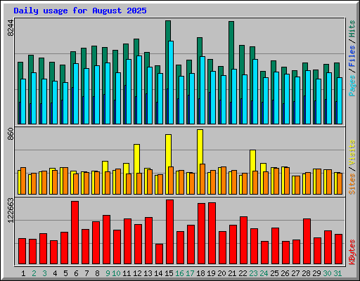 Daily usage for August 2025