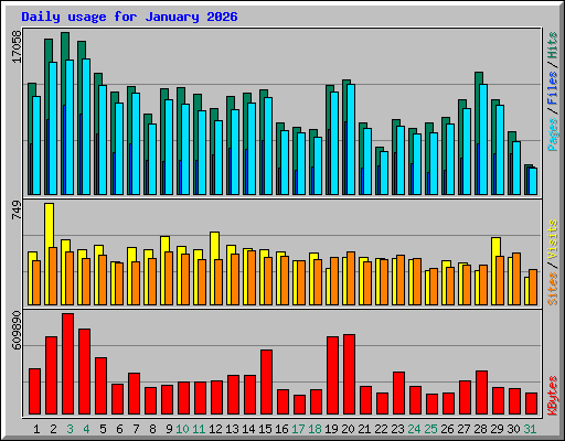 Daily usage for January 2026