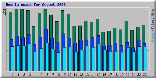 Hourly usage for August 2008