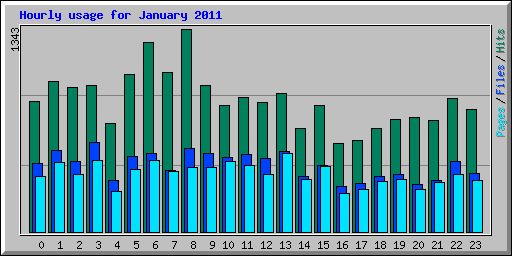 Hourly usage for January 2011