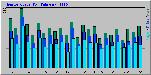 Hourly usage for February 2013