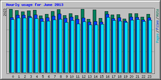 Hourly usage for June 2013