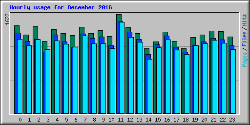 Hourly usage for December 2016