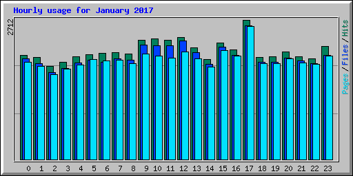 Hourly usage for January 2017