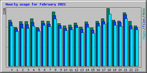 Hourly usage for February 2021