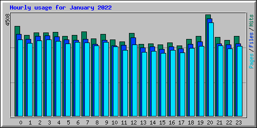 Hourly usage for January 2022