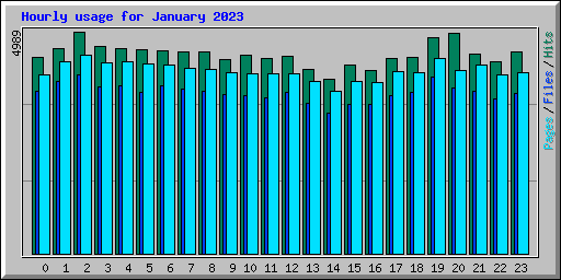 Hourly usage for January 2023