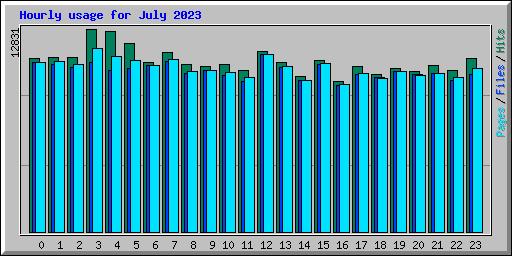 Hourly usage for July 2023