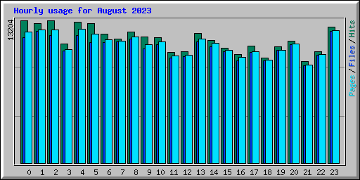 Hourly usage for August 2023