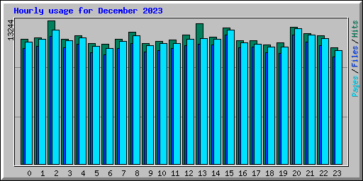 Hourly usage for December 2023