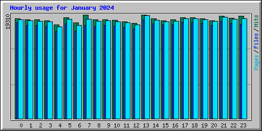 Hourly usage for January 2024