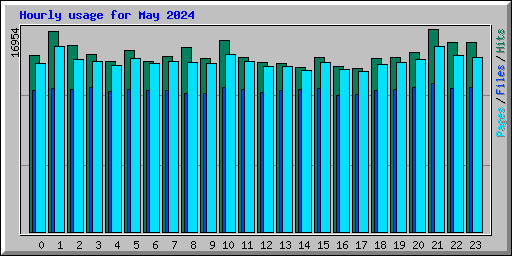 Hourly usage for May 2024