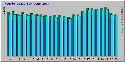 Hourly usage for June 2024
