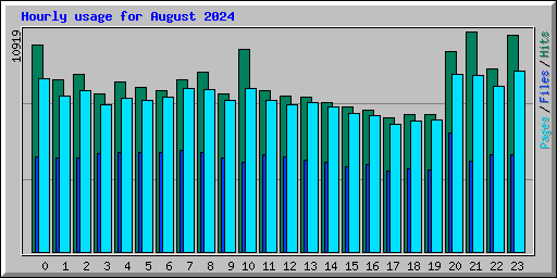Hourly usage for August 2024