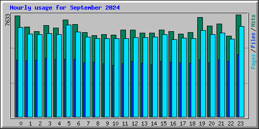 Hourly usage for September 2024