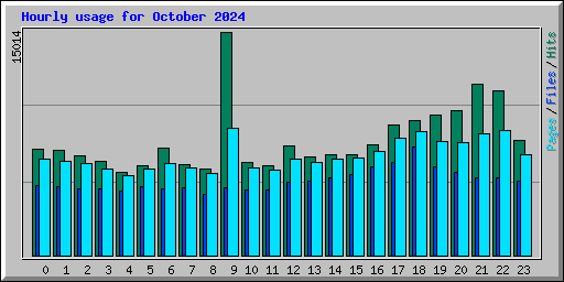 Hourly usage for October 2024