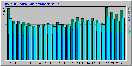 Hourly usage for November 2024