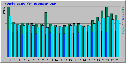 Hourly usage for December 2024