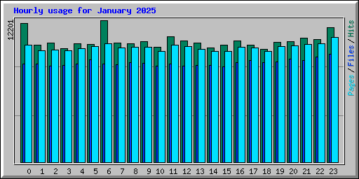 Hourly usage for January 2025