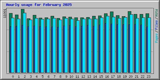 Hourly usage for February 2025
