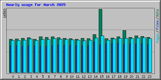 Hourly usage for March 2025