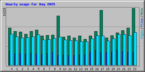 Hourly usage for May 2025