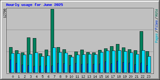 Hourly usage for June 2025