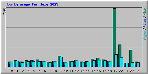 Hourly usage for July 2025