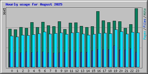 Hourly usage for August 2025
