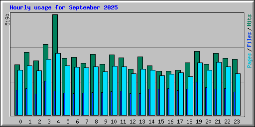 Hourly usage for September 2025