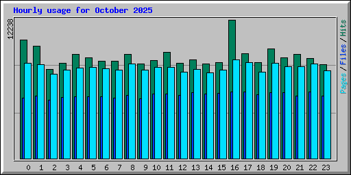 Hourly usage for October 2025