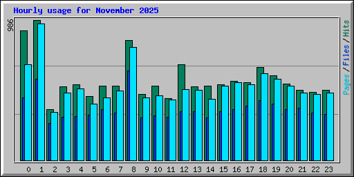 Hourly usage for November 2025