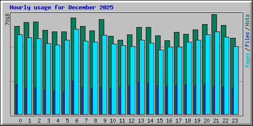 Hourly usage for December 2025