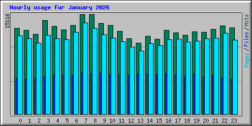 Hourly usage for January 2026