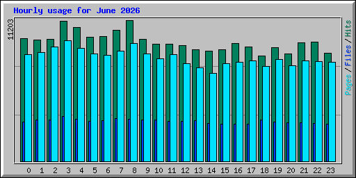 Hourly usage for June 2026