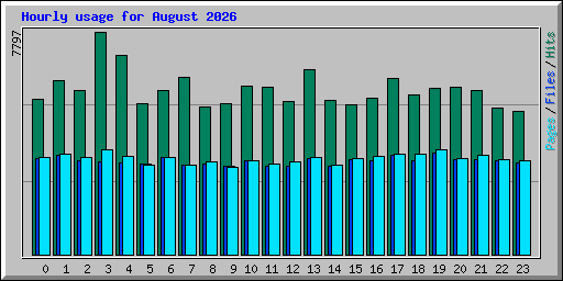 Hourly usage for August 2026